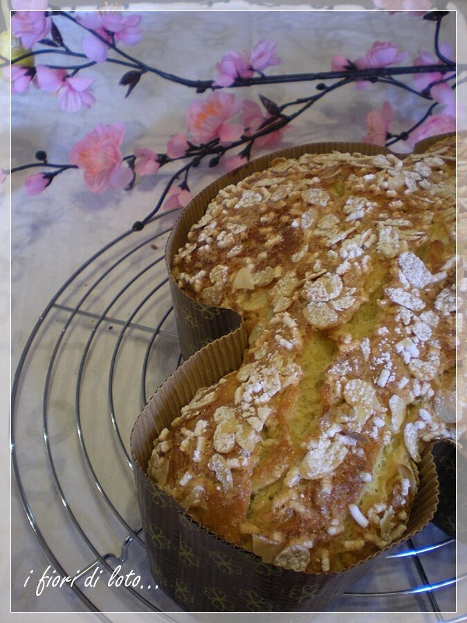 Colomba pasquale e nuove collaborazioni