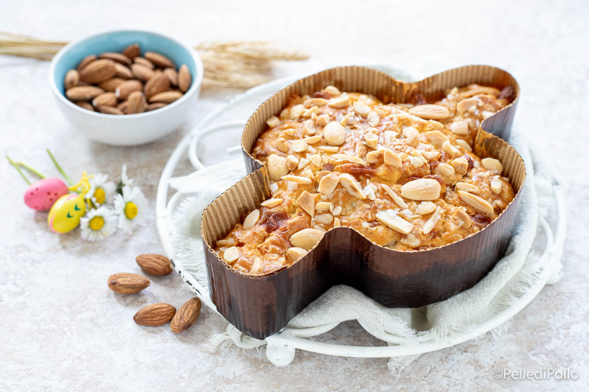 Colomba salata veloce