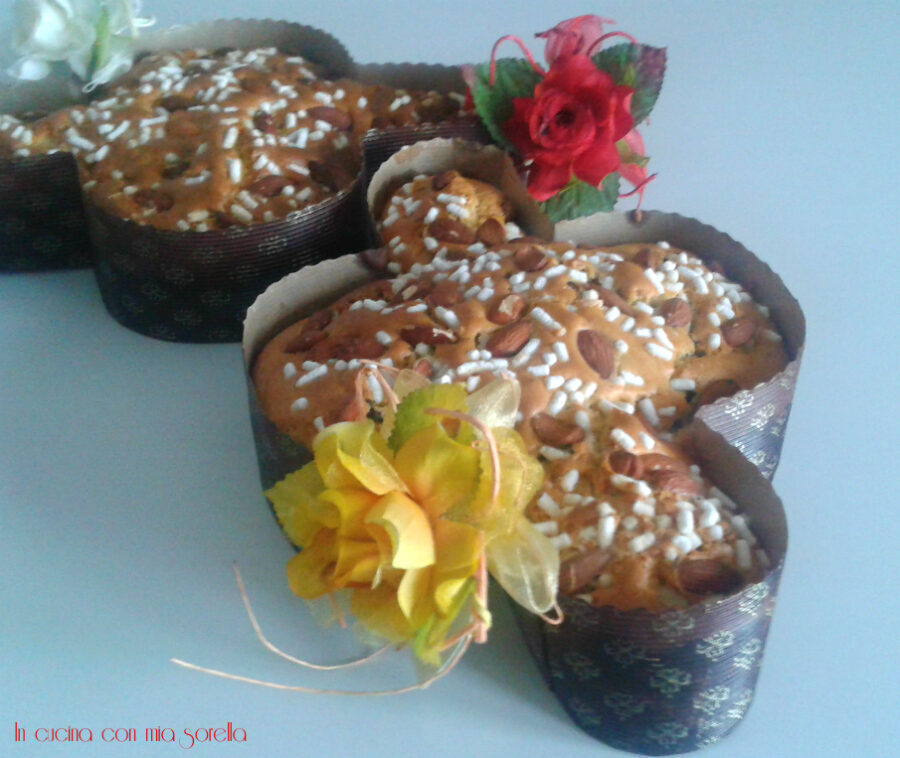 Colomba veloce