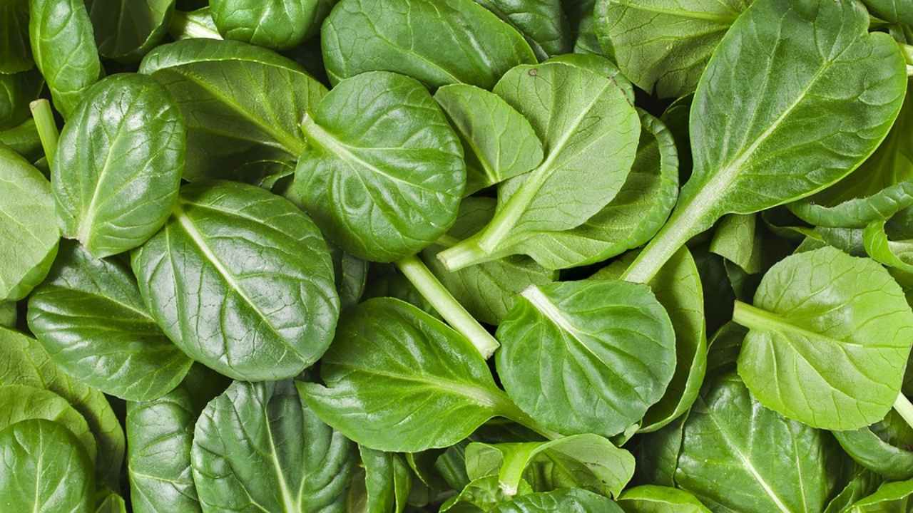 Come cucinare gli spinaci freschi e surgelati