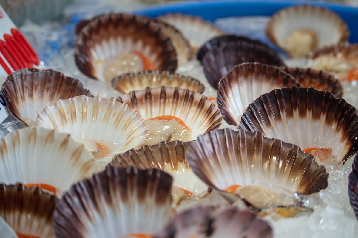 Come evitare rischi quando si preparano i frutti di mare