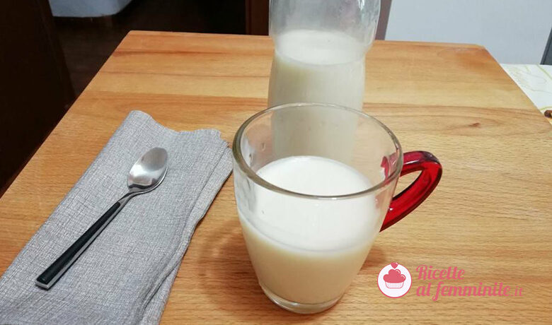 Come fare il latte d’avena in casa
