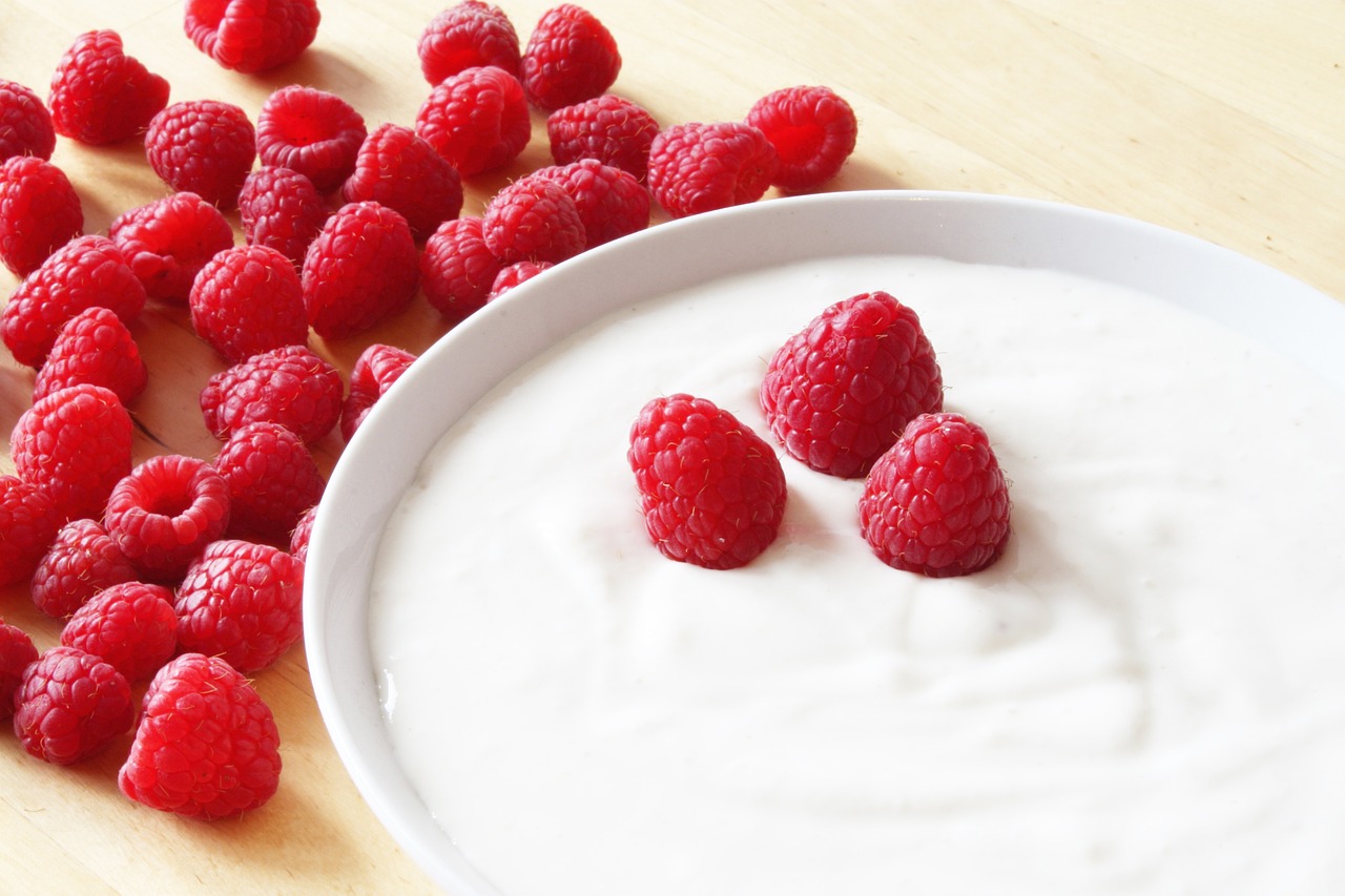 COME FARE LO YOGURT