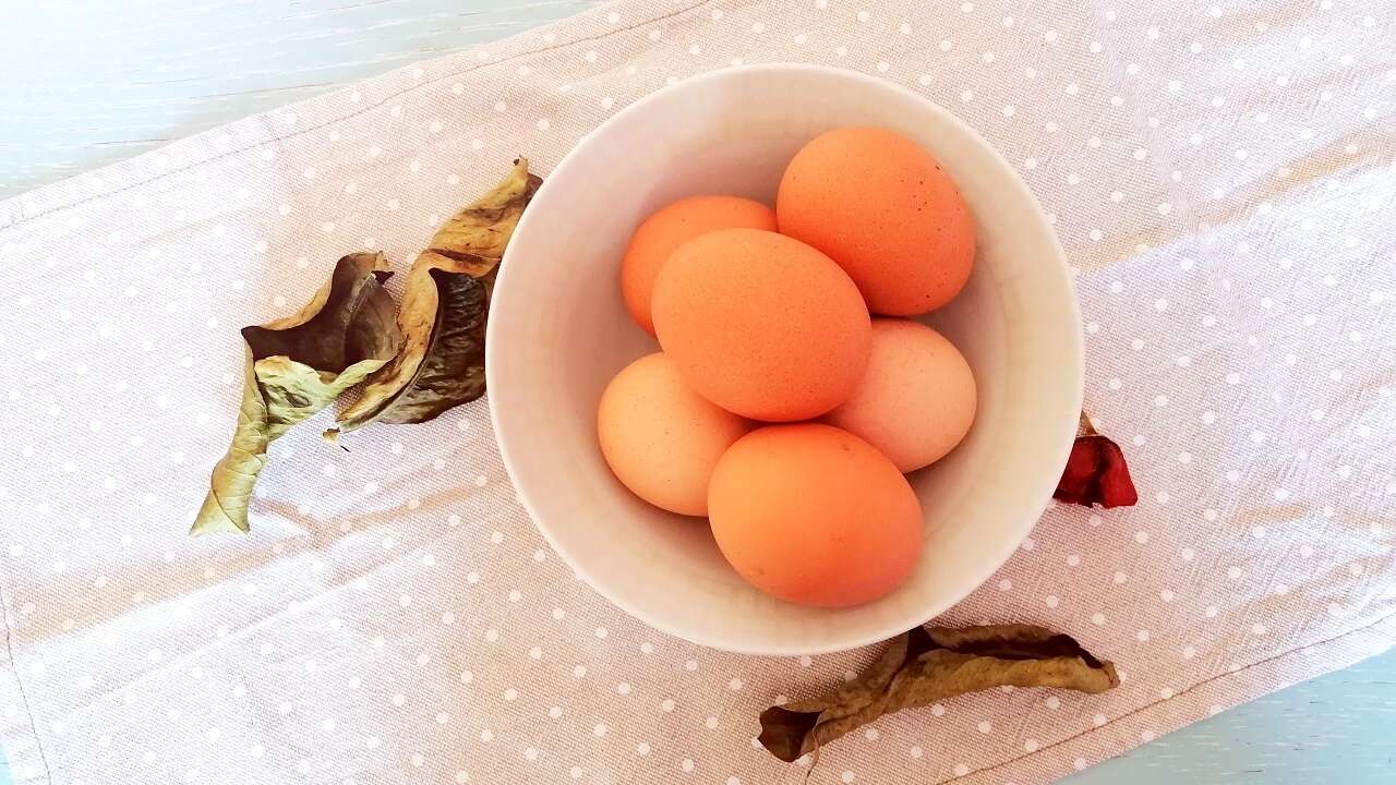 Come pastorizzare le uova, guida per ricette dolci e salate