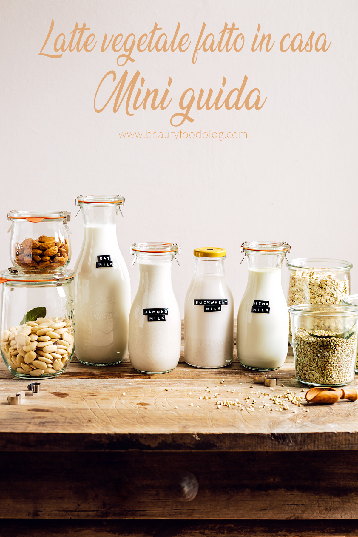 Come preparare il LATTE VEGETALE FATTO IN CASA | Mini guida