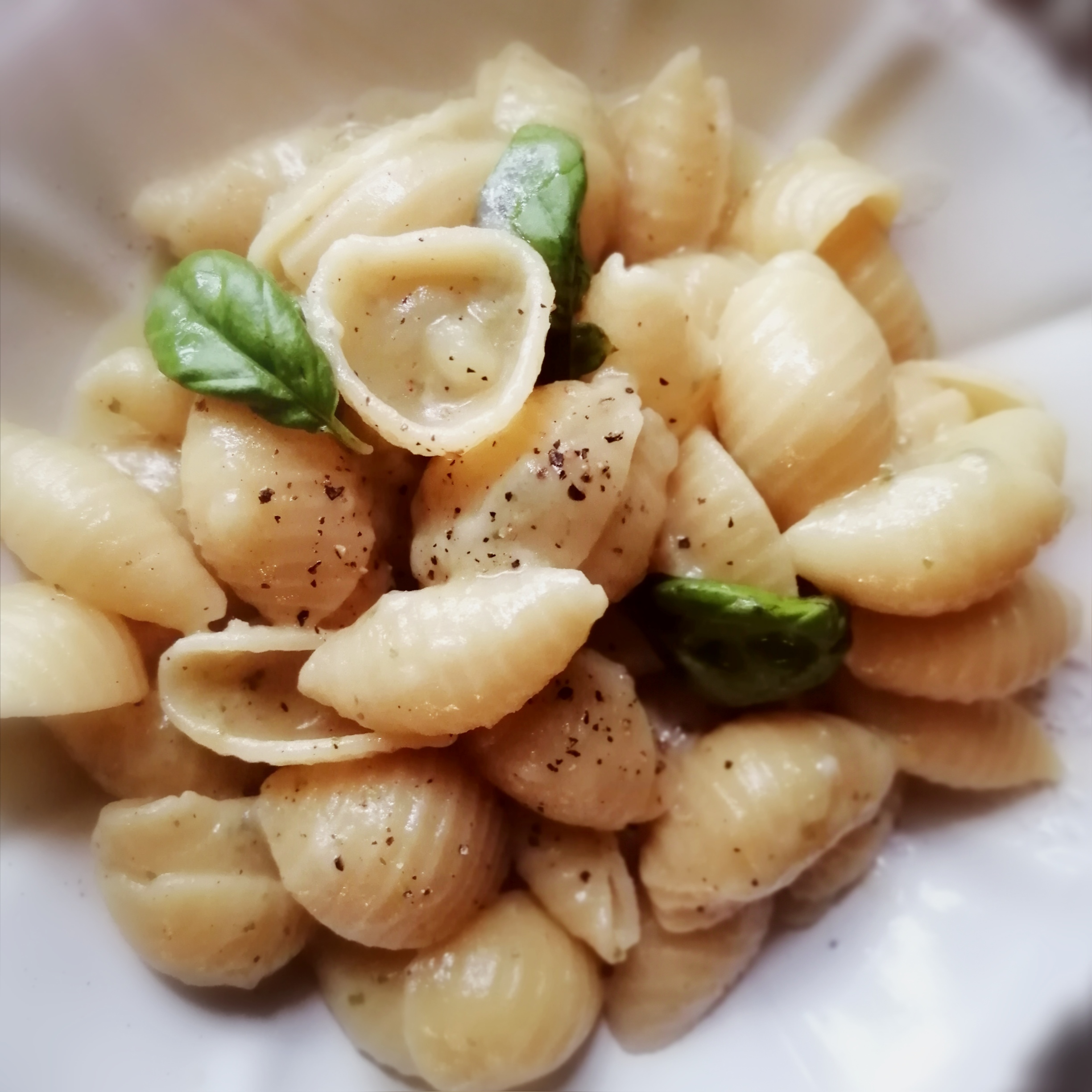 Conchiglie patate provola e pesto