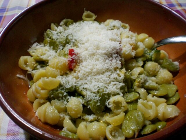 Conchigliette e fave novelle