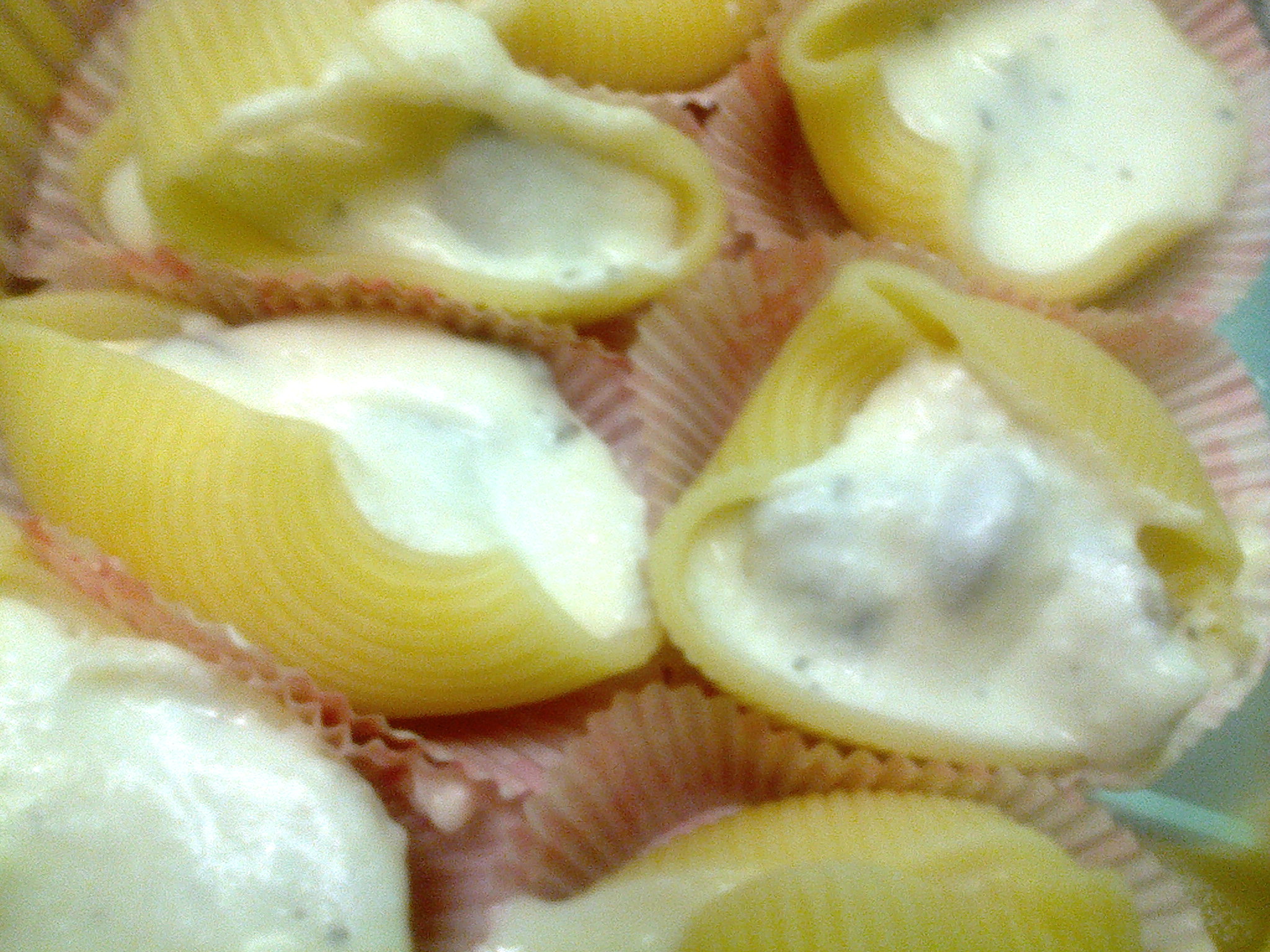 Conchiglioni ripieni, gratinaticonchiglioni ripieni, gratinati