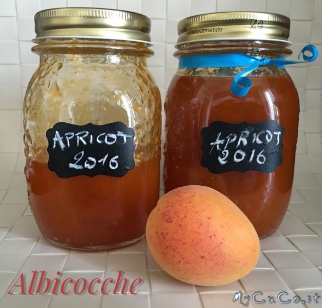 Confettura di albicocche con cuisine e i-companion
