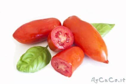 Conserva di pomodoro