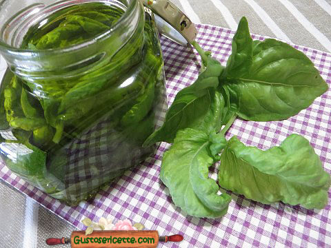 Conservare il basilico sott olio