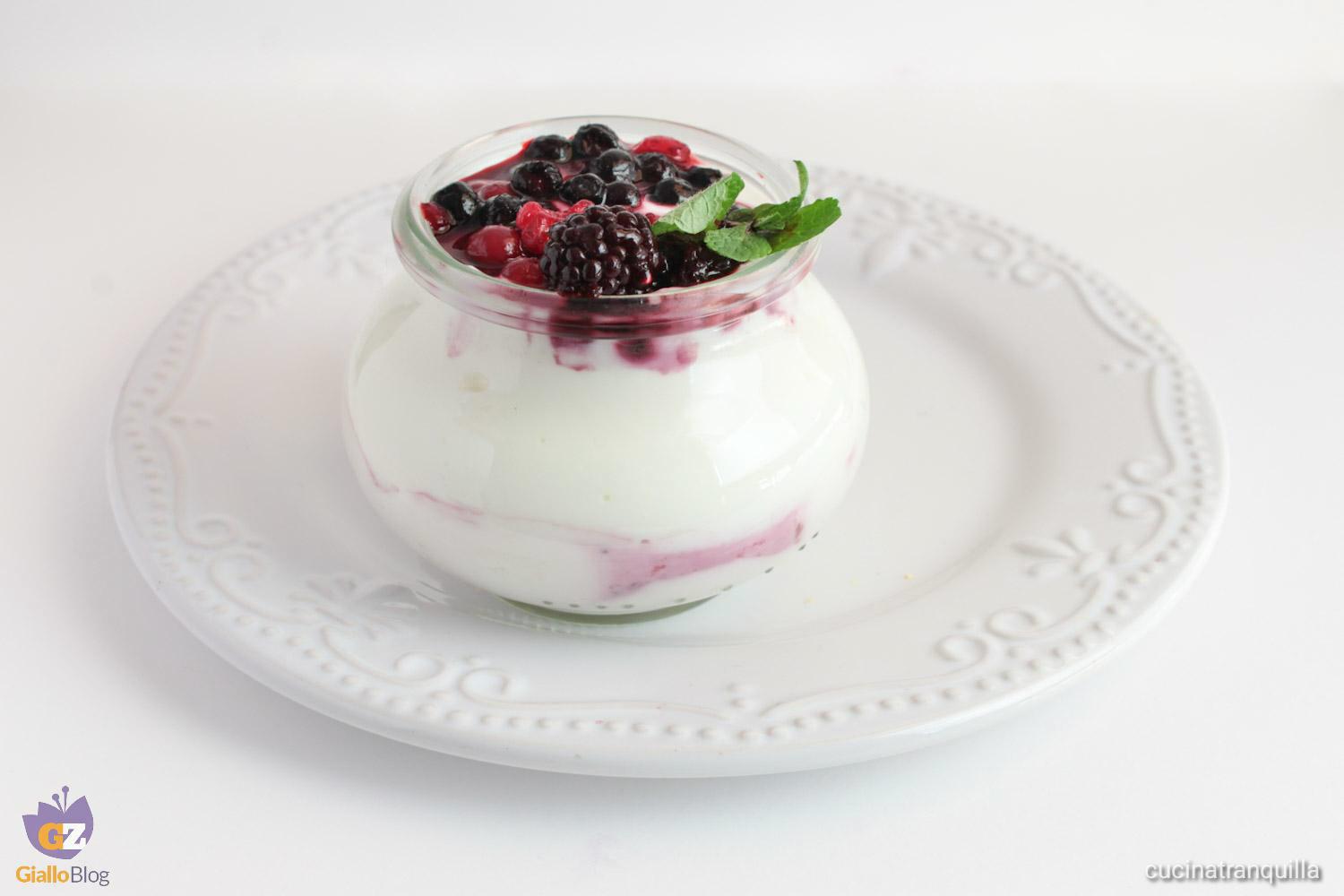 Coppa di yogurt greco e coulis al lampone