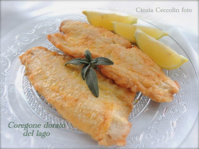 Coregone dorato del lago
