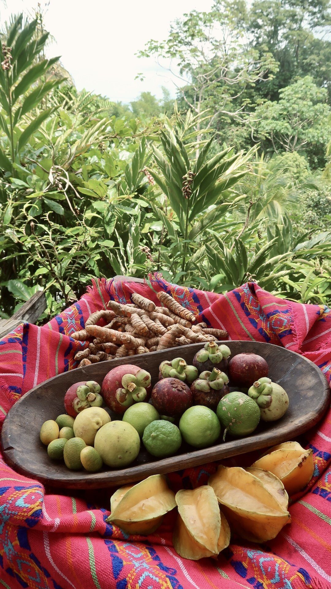 Costa rica: guida di viaggio vegan