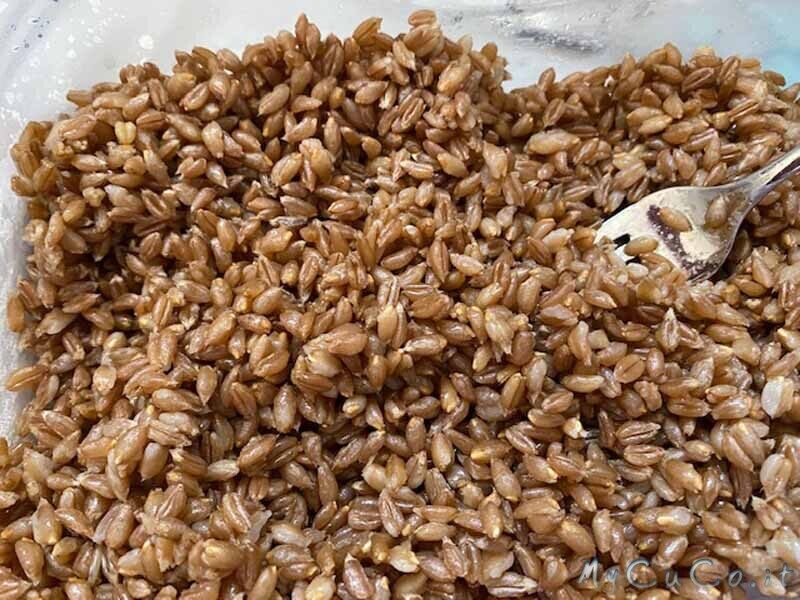 Cottura a vapore del farro integrale o decorticato