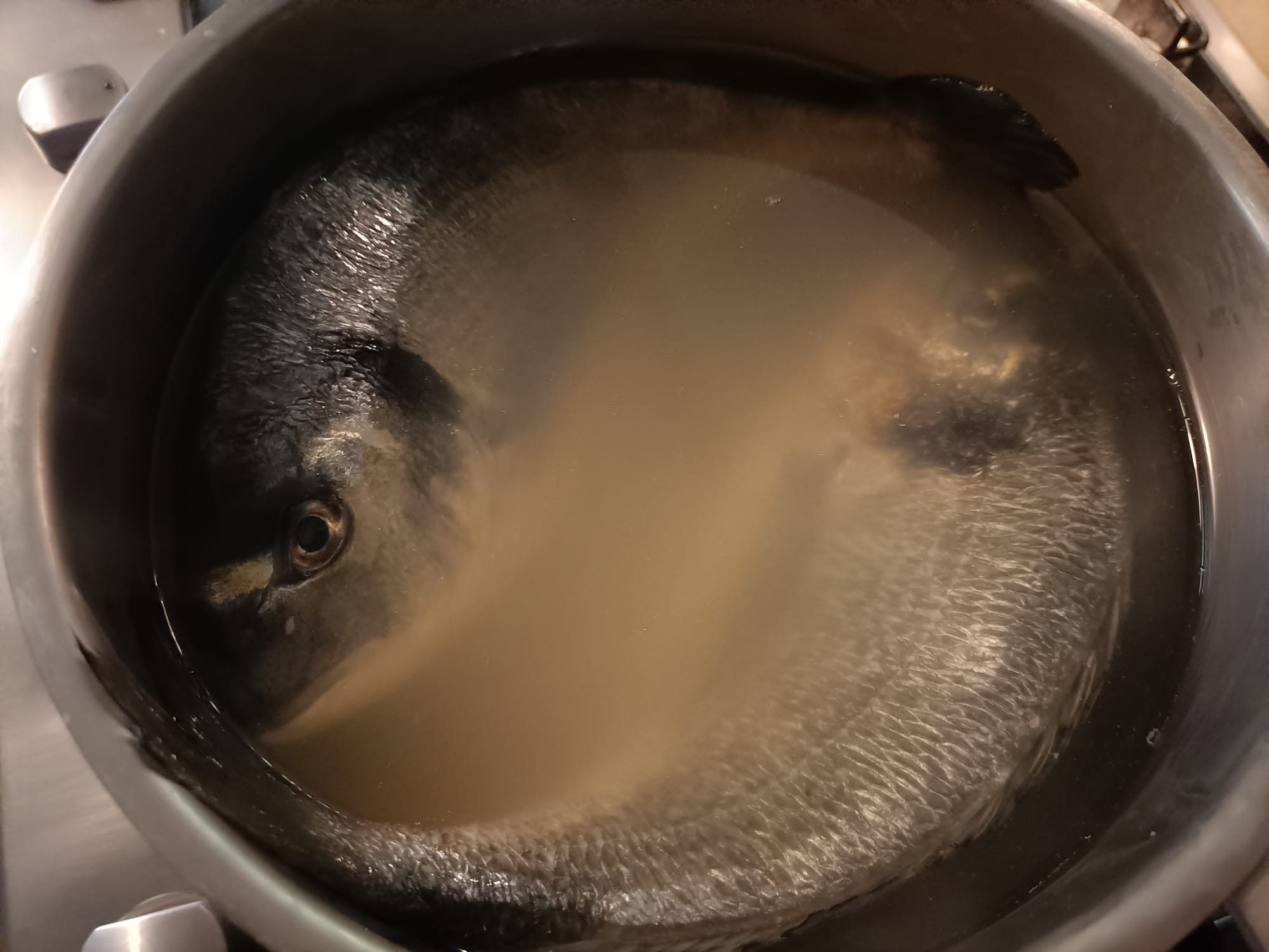 Court bouillon: cos’è, come si prepara e tipologie