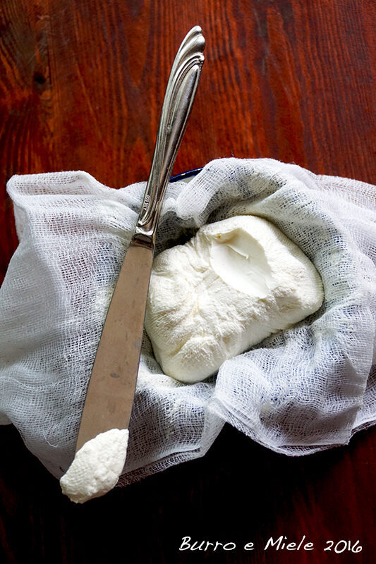 Cream cheese di yak. se la vita di da latte di yak.. (halavi)