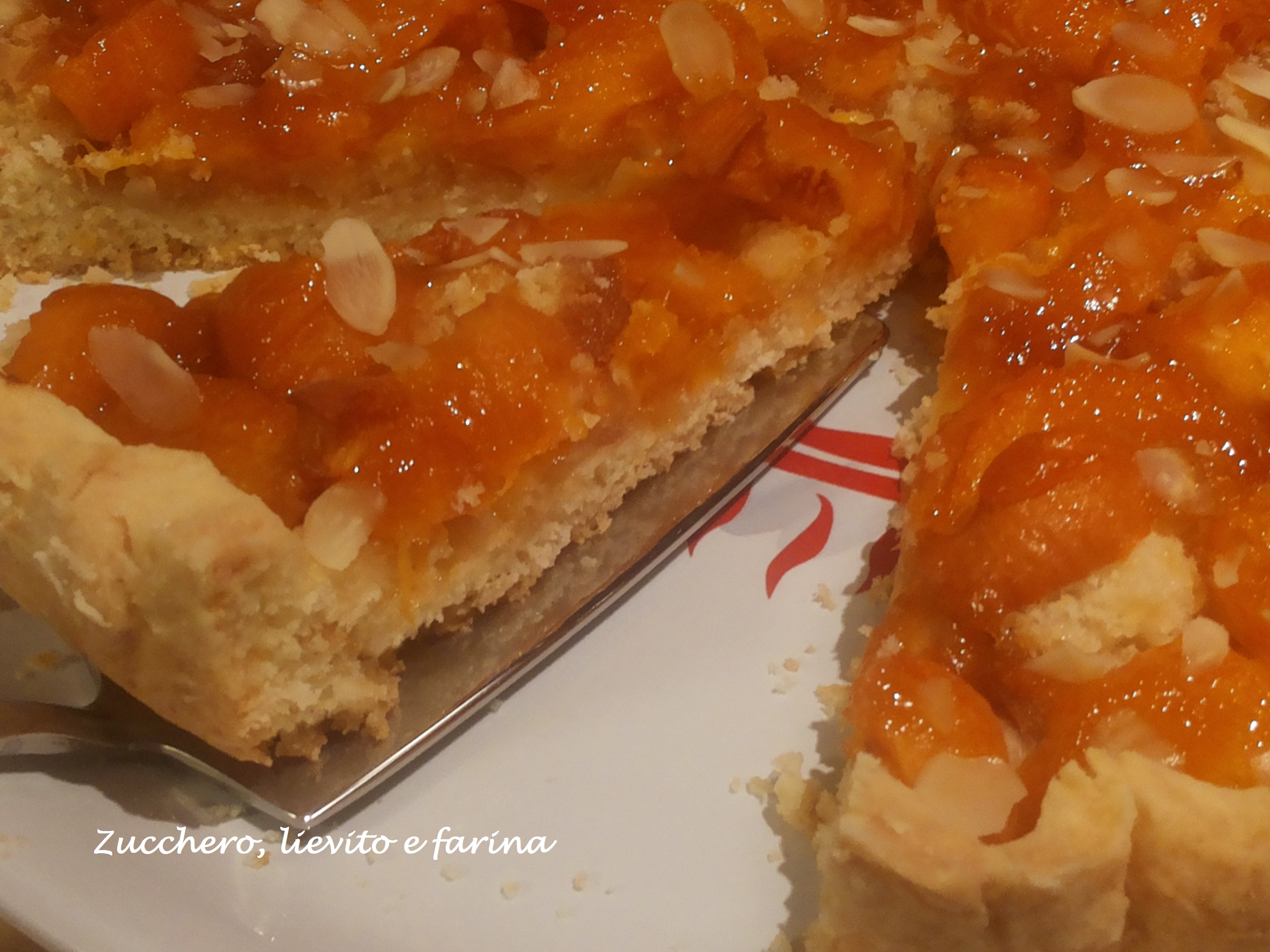Crostata alle albicocche