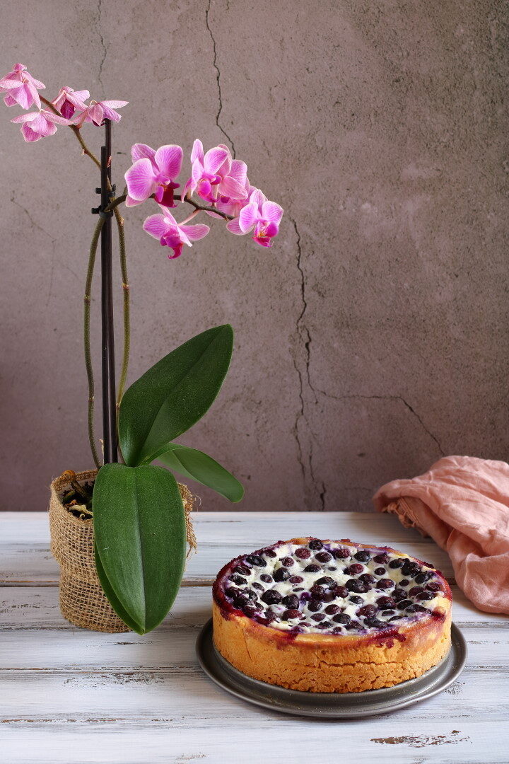 Crostata con mirtilli e ricotta piemontese