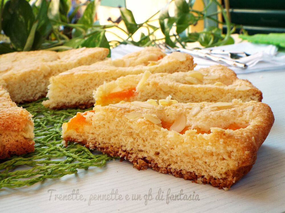 Crostata morbida albicocche e cocco