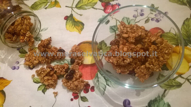 CRUNCHY MUESLI CON AVENA E ORZO SOFFIATO