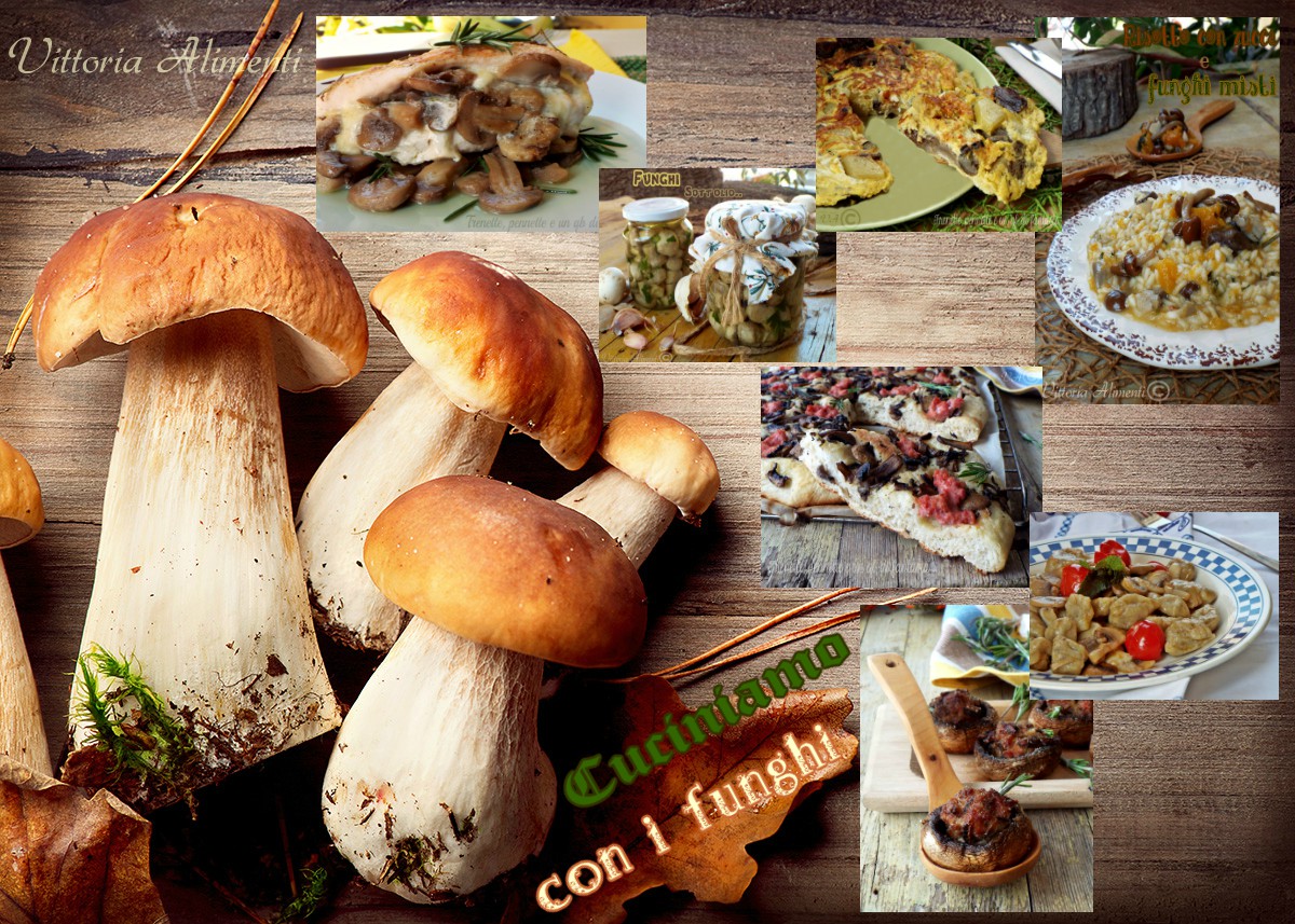 Cuciniamo con i funghi..raccolta