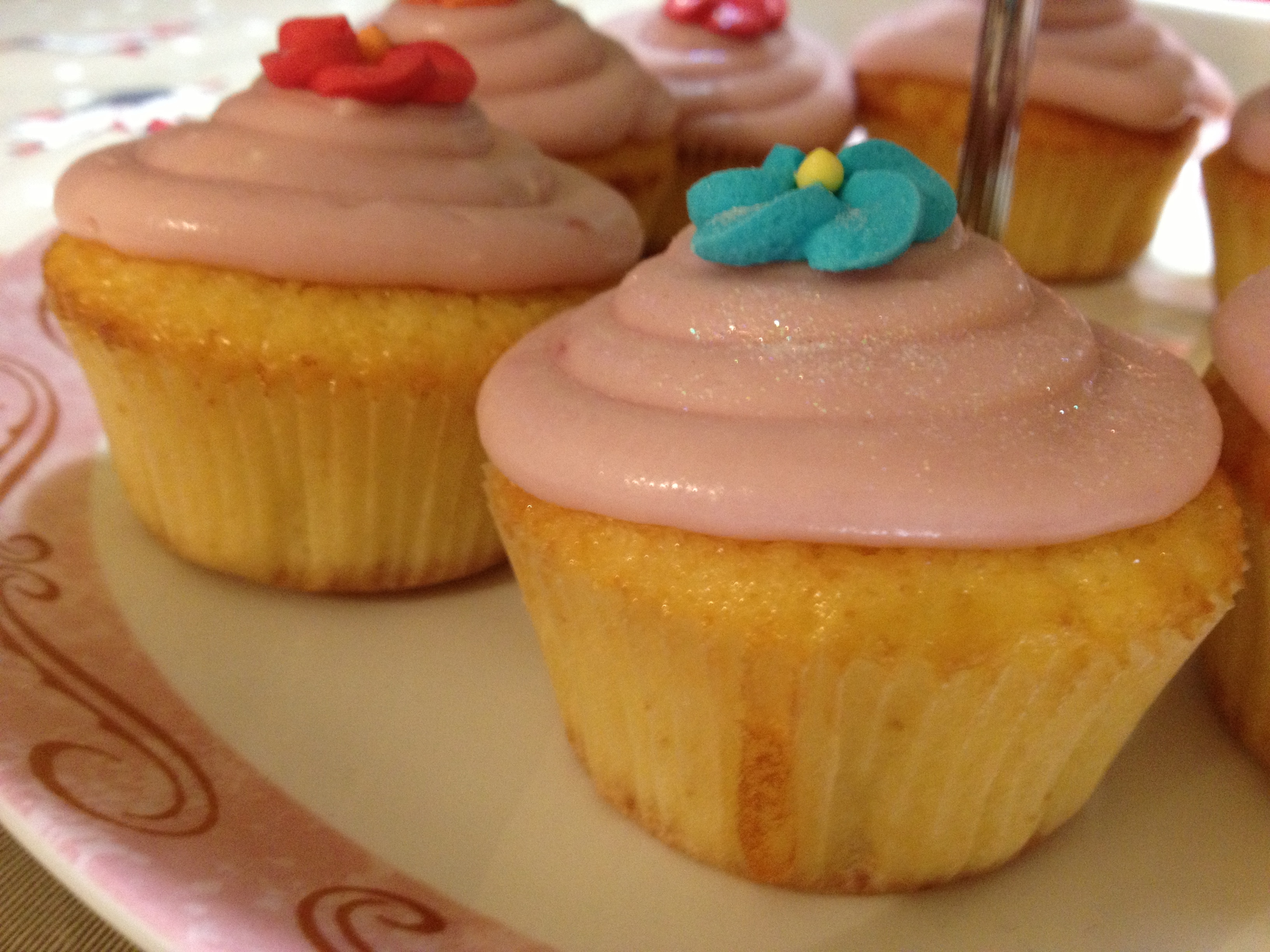 Cupcakes alle albicocche sciroppate con crema al lampone