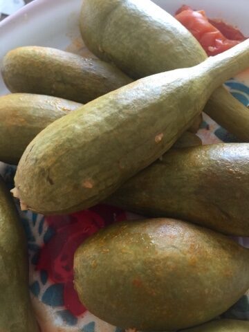 محشي يقطين zucca ripiena