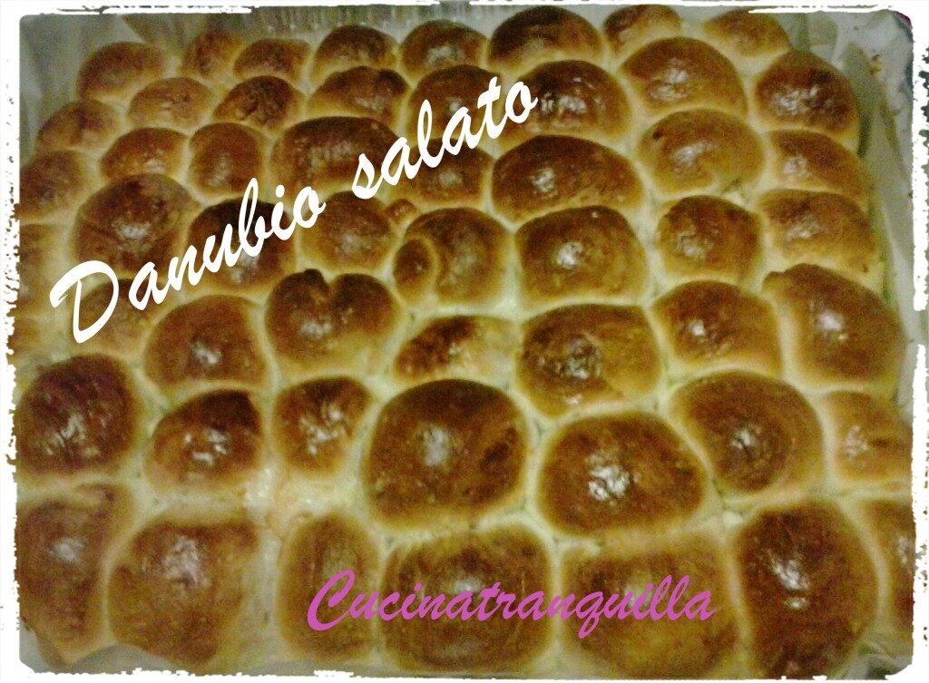 Danubio salato