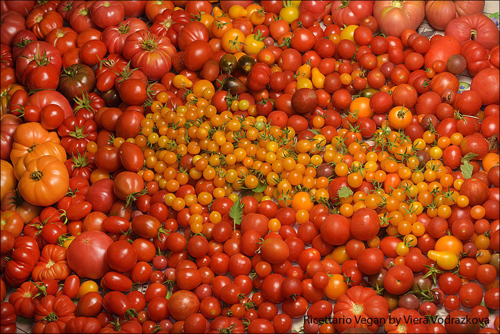 Dedicato ai miei pomodori antichi tesori dell’orto