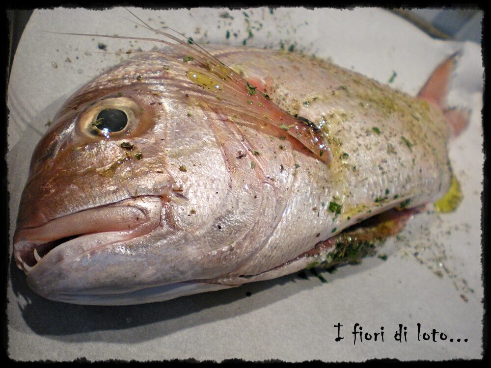 Dentice al forno