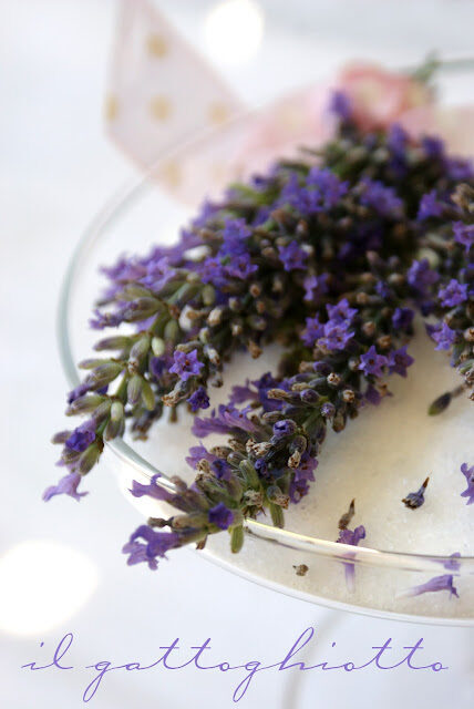 Dolce lavanda…