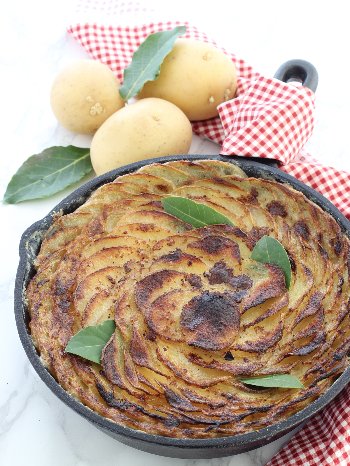 Domino gratin dauphinois