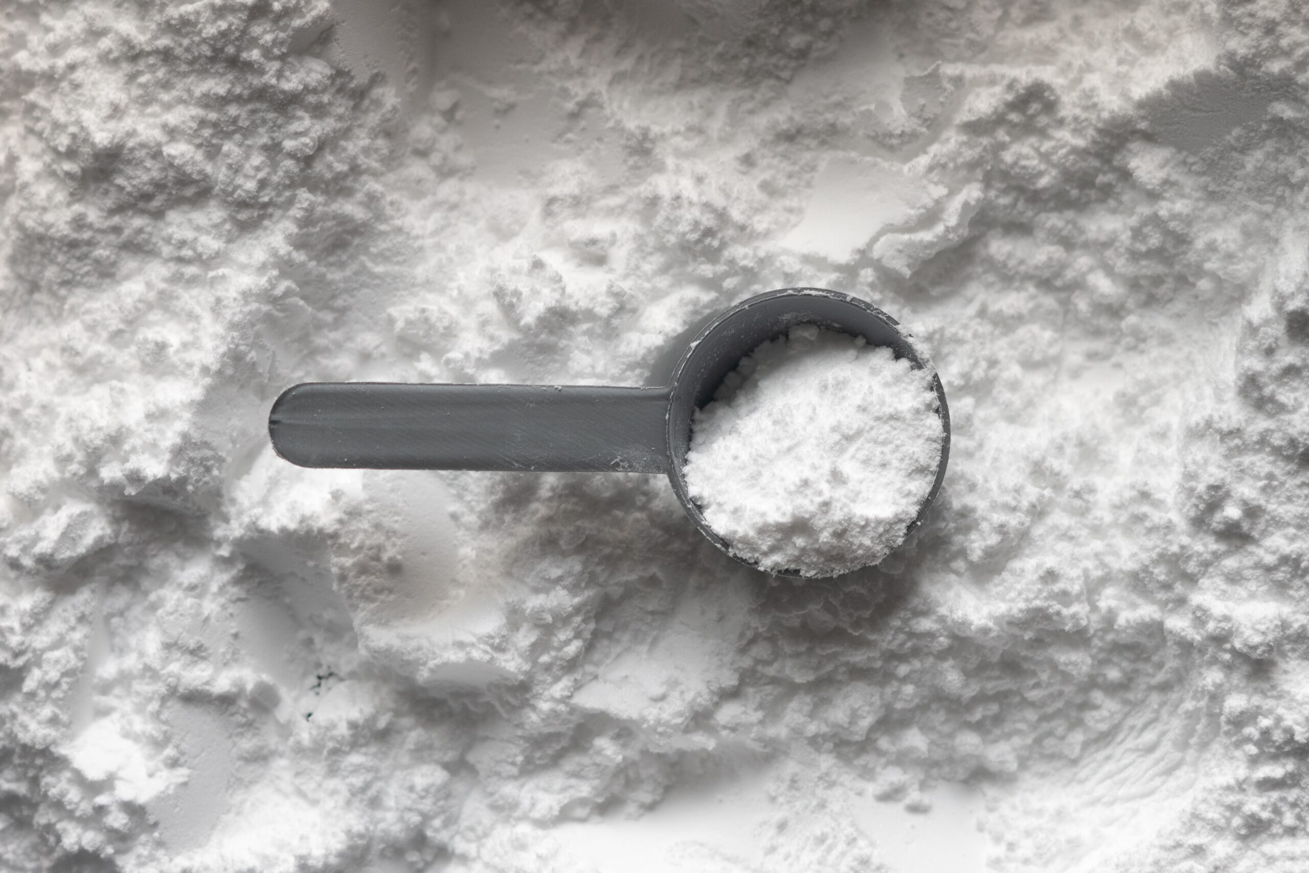 Ecco le migliori proteine in polvere se vai in palestra