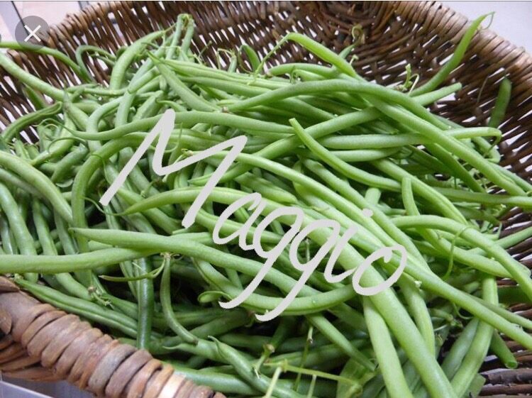 Fagiolini: proprietà, benefici e usi in cucina