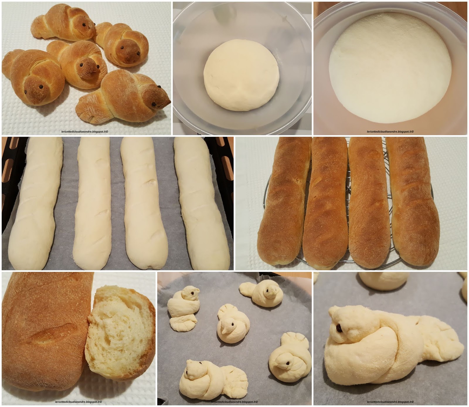 Filoncini e colombine di pane con semola rimacinata
