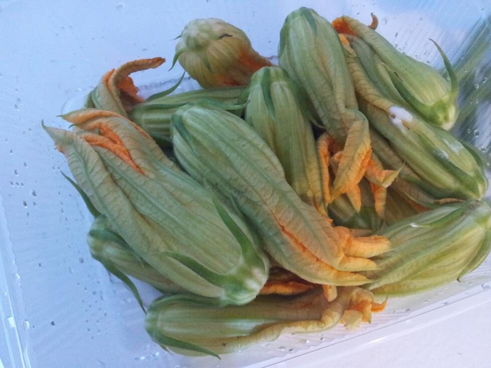 Fiori di zucca in pastella semplice