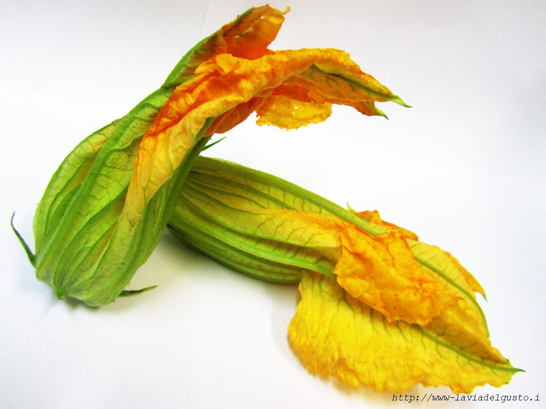 Fiori di zucchina con ricotta