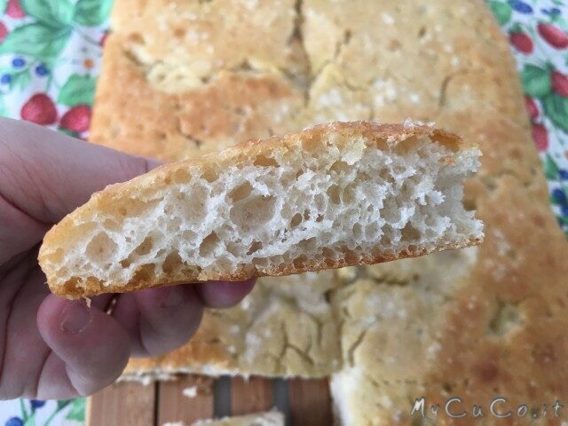 Focaccia superveloce di nonna stephy con cuisine companion