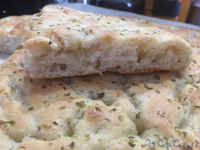 Focaccia veloce con manitoba fatta con i-companion moulinex