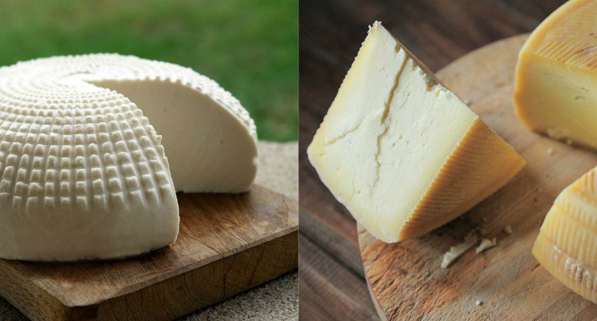 Formaggio fatto in casa