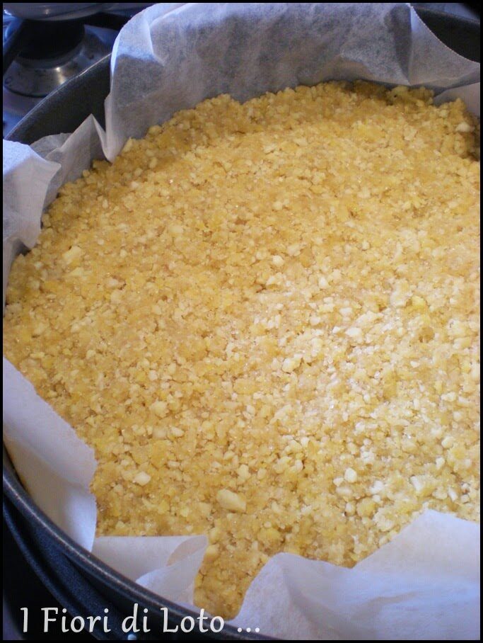 Fregolotta