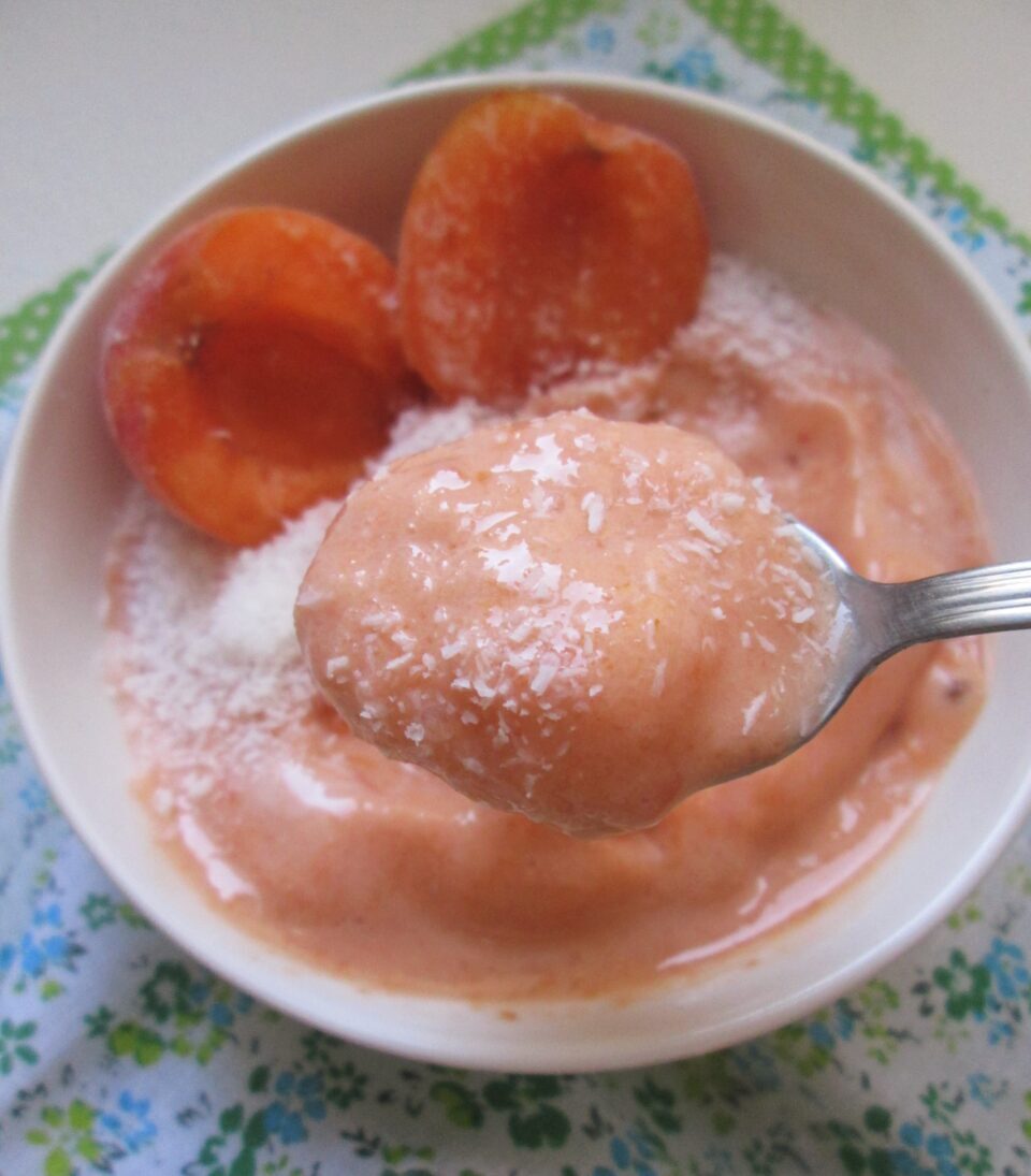Frozen yogurt all’albicocca