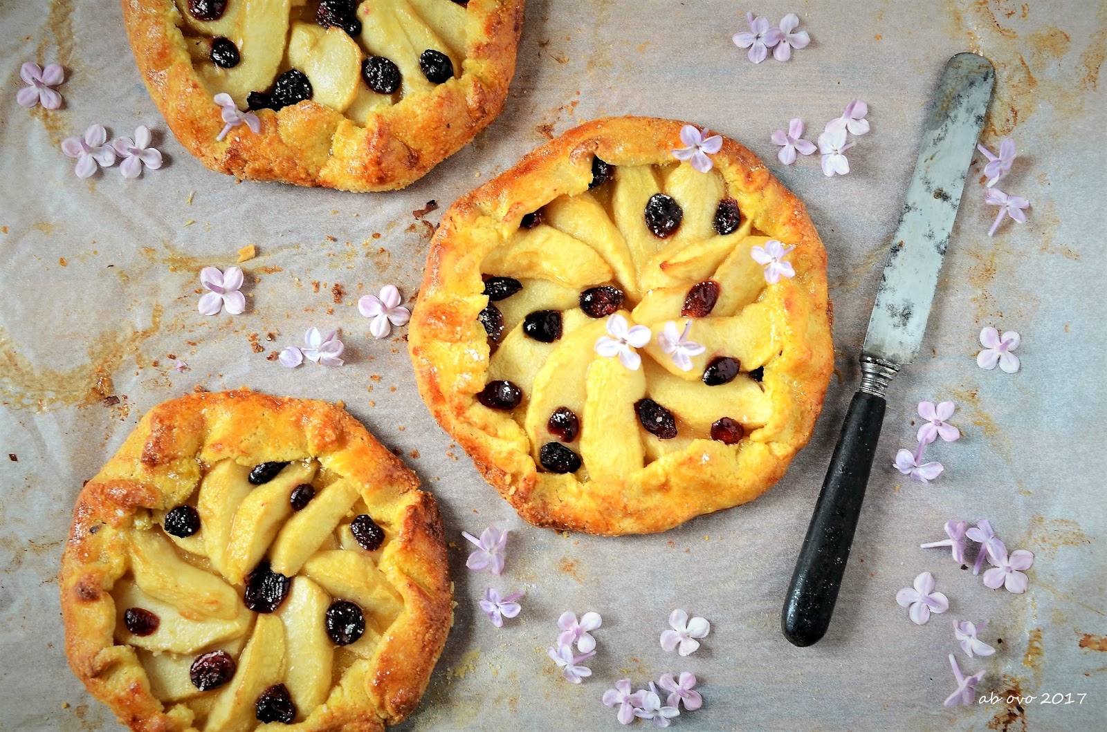 Galettes alle mele e mirtilli rossi