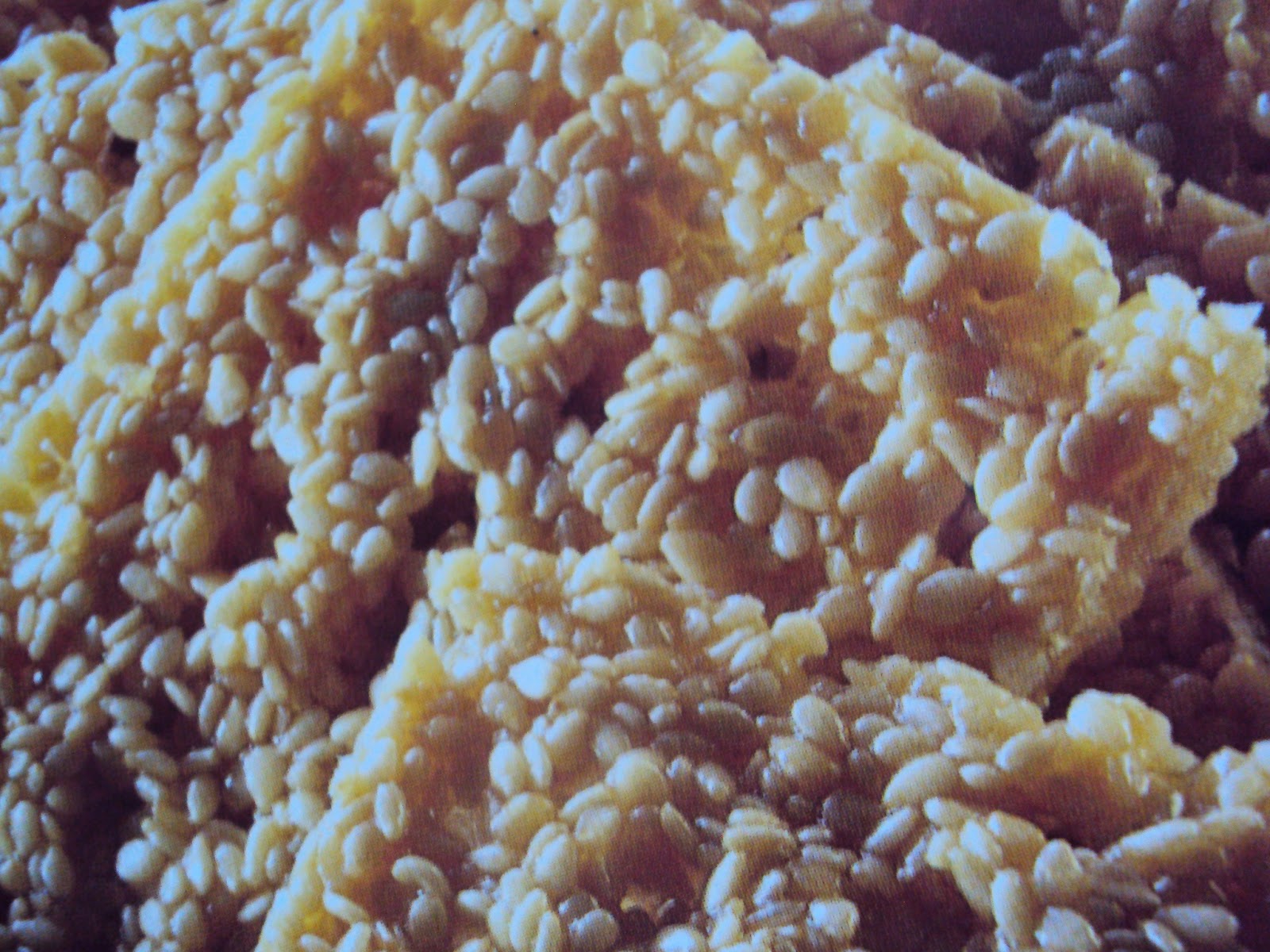 Gallette dolci al sesamo