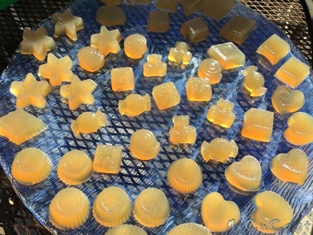 Gelatine di frutta con cuisine companion