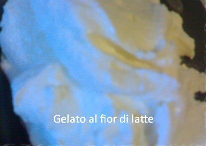 Gelato al fior di latte