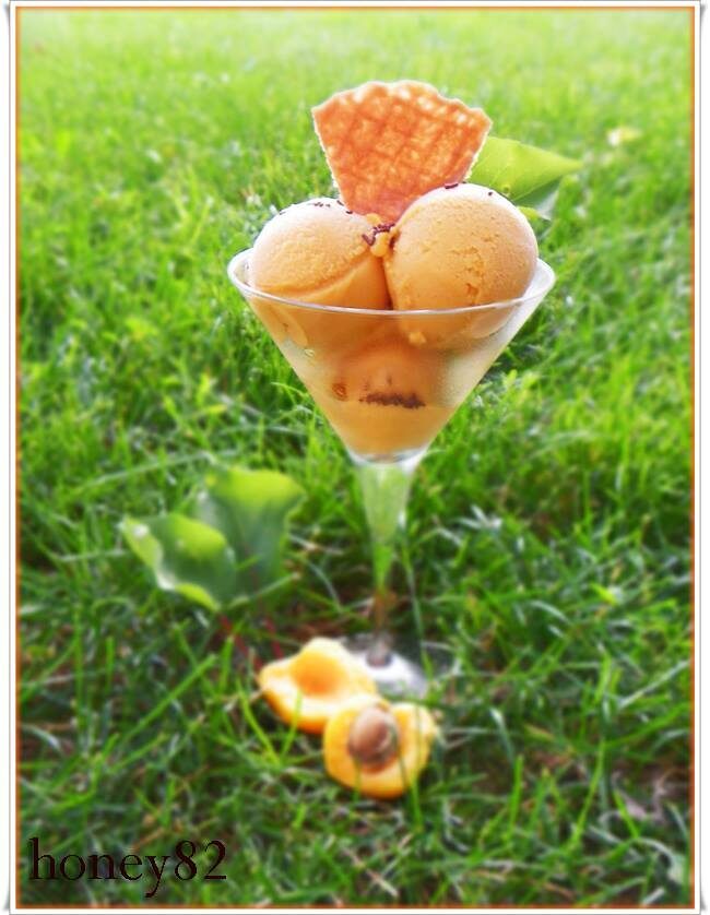 Gelato all’albicocca