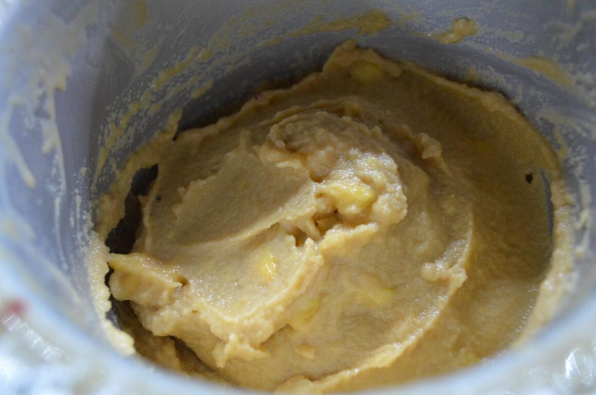 Gelato allo yogurt e frutta con gelatiera