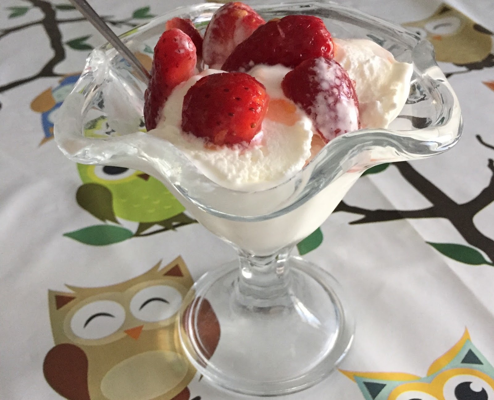 Gelato allo yogurt: ricetta con utilizzo di gelatiera